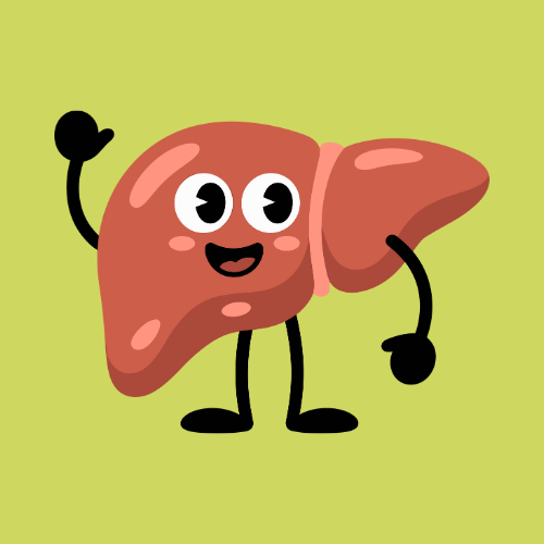 <p><strong>Liver Detox</strong></p>