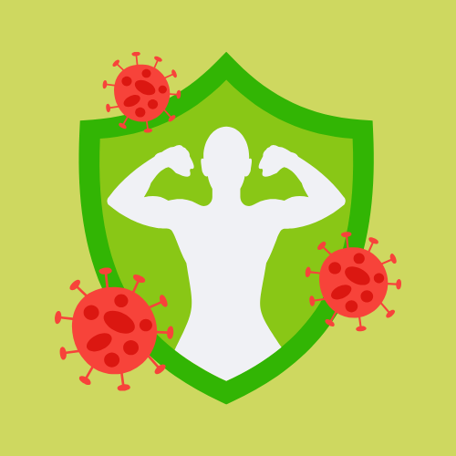 <p><strong>Immunity Support</strong></p>